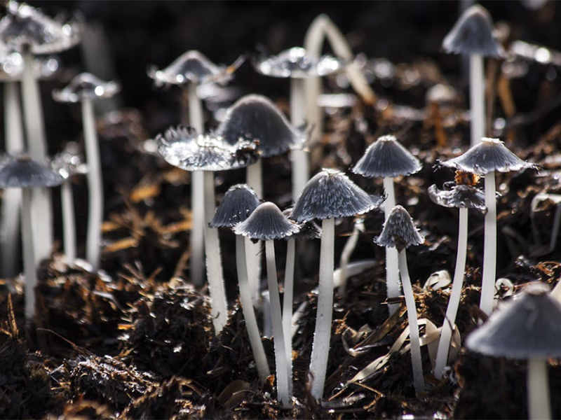 土壤水分與土壤濕度的區別（如何測量土壤水分含量）